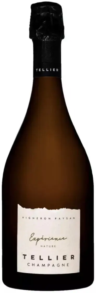 Шампанское Champagne Tellier Experience Nature Champagne AOC, 2016, 0.75 л