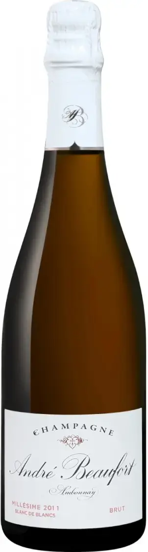 Шампанское Andre Beaufort Ambonnay Millesime Blanc de Blancs Champagne AOC, 0.75 л