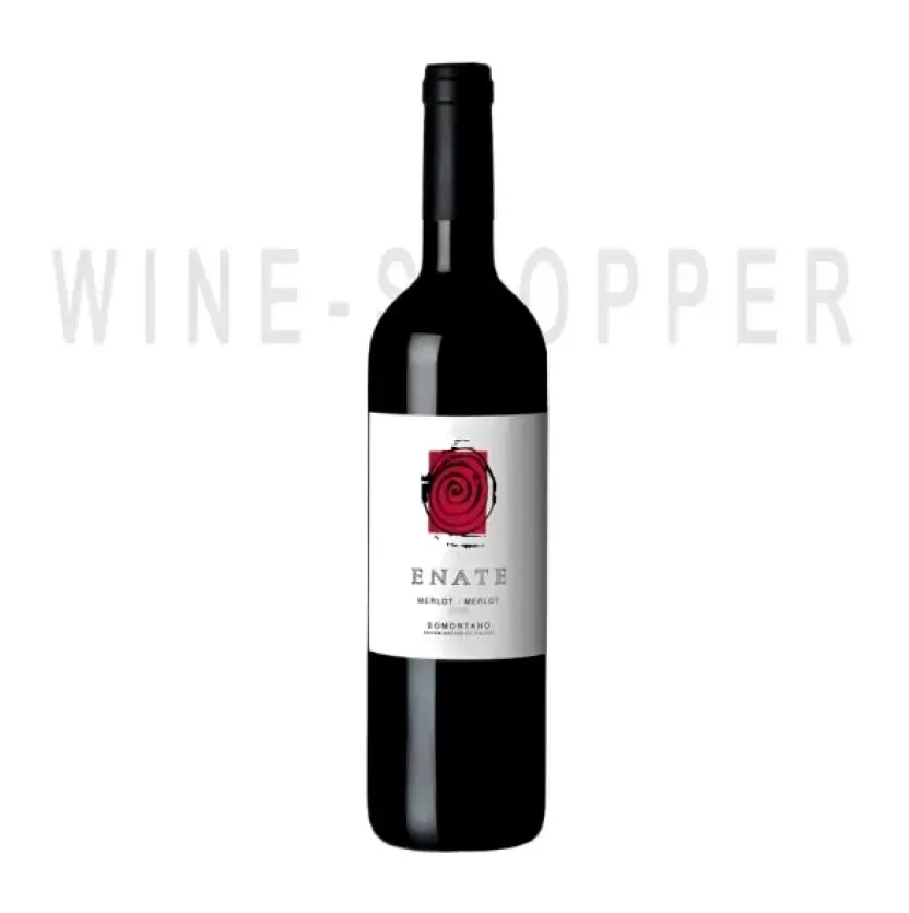 Вино Somontano DO Enate Merlot-Merlot 2012 0.75 л