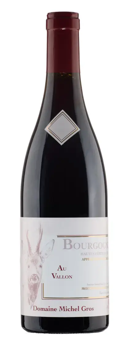 Вино Domaine Michel Gros Bourgogne Hautes Cotes De Nuits Au Vallon, 2021, 0.75 л
