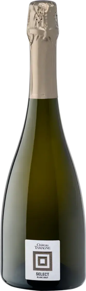 Игристое вино Chateau Tamagne Select Blanc Brut, 0.75 л