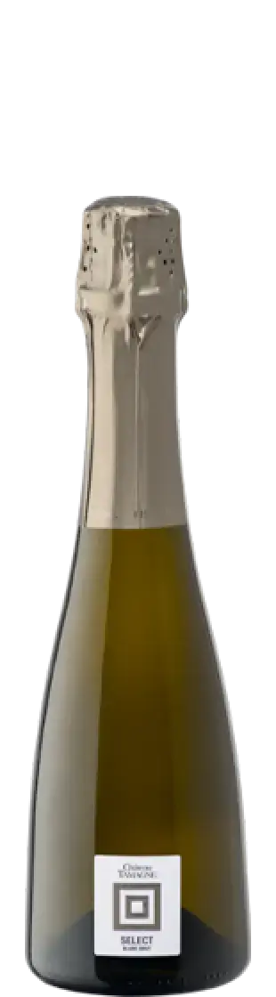 Игристое вино Chateau Tamagne Select Blanc Brut, 0.375 л
