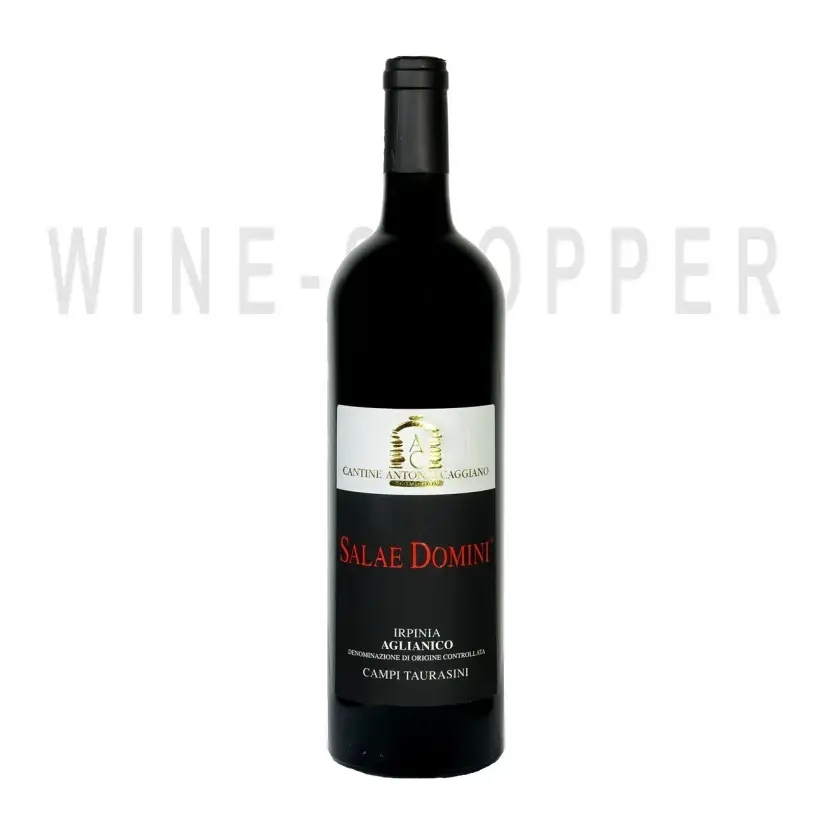 Вино Irpinia Campi Taurasini DOC Salae Domini 2014 0.75 л