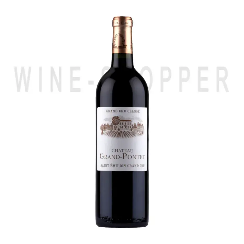 Вино Chateau Grand-Pontet Saint-Emilion Grand Cru AOC 2008 0.75 л