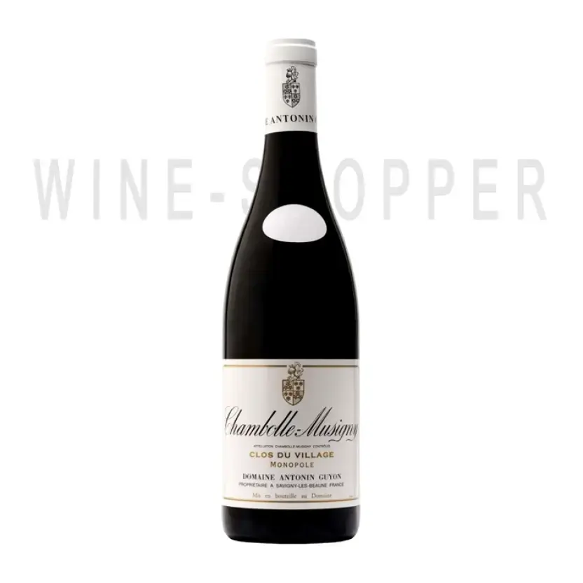 Вино Chambolle-Musigny Clos du Village 2016 1.5 л