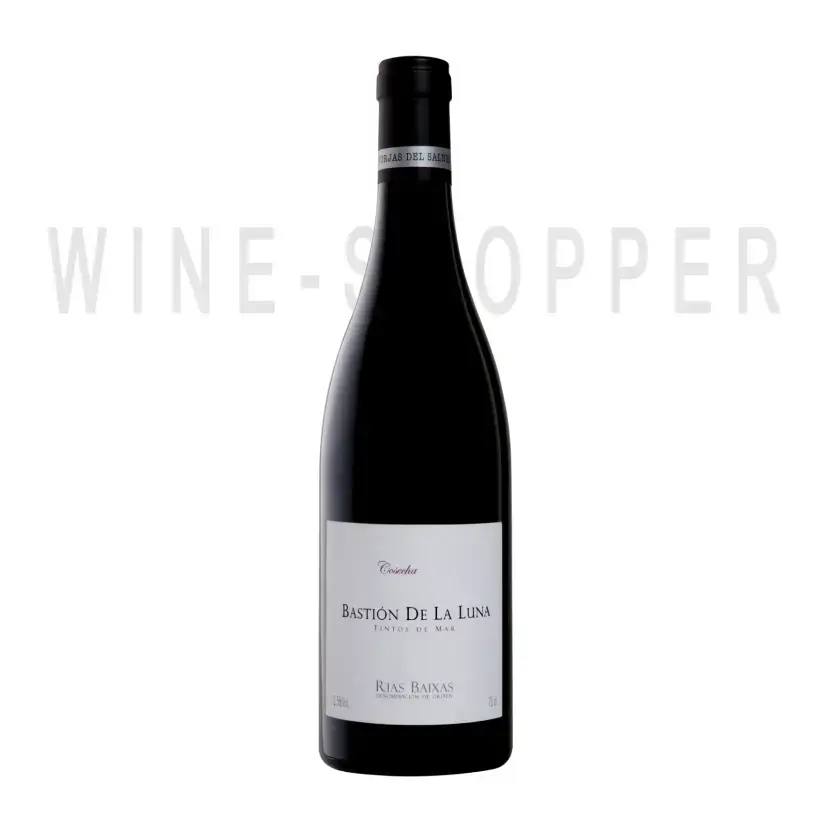 Вино Forjas del Salnes, Bastion de la Luna, Rias Baixas DO 2014 0.75 л