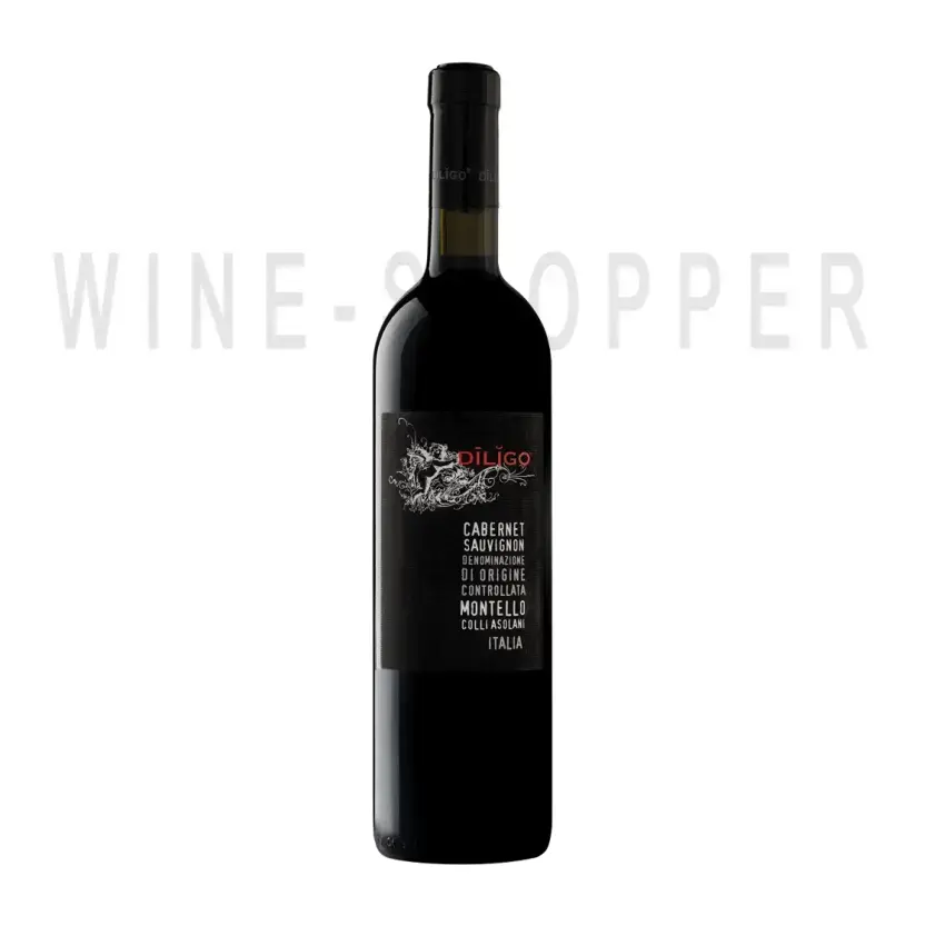 Вино Anna Spinato Diligo Cabernet Sauvignon DOC 2019 0.75 л