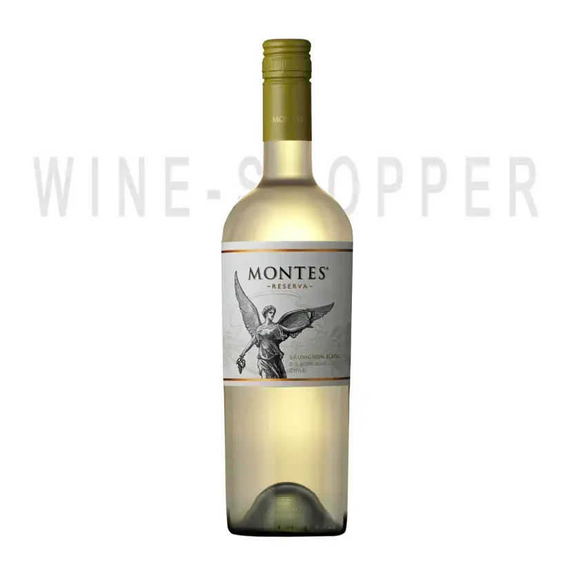 Вино Montes Reserva Sauvignon Blanc Curico Valley 2019 0.75 л