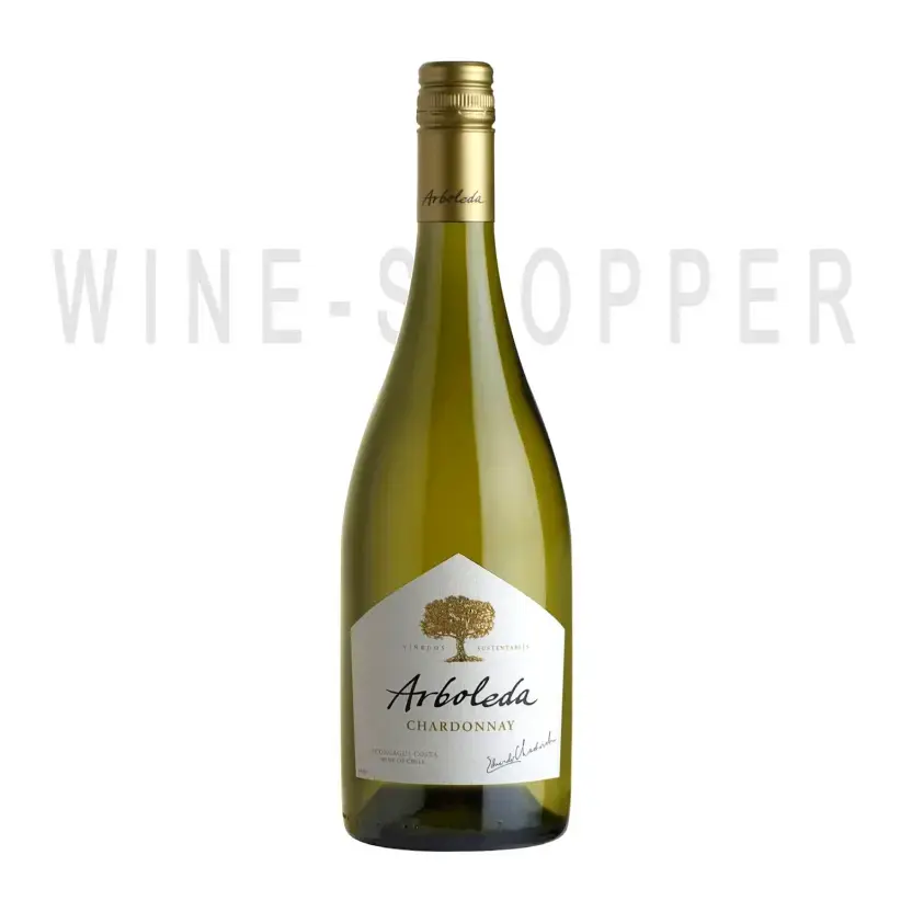 Вино Arboleda Chardonnay 2019 0.75 л