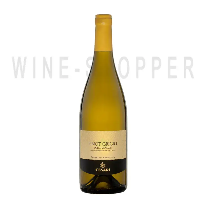 Вино Gerardo Cesari Pinot Grigio delle Venezie IGT 2020 0.75 л