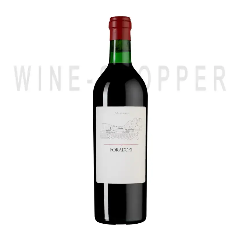 Вино Foradori Teroldego Vigneti delle Dolomiti IGT 2020 0.75 л