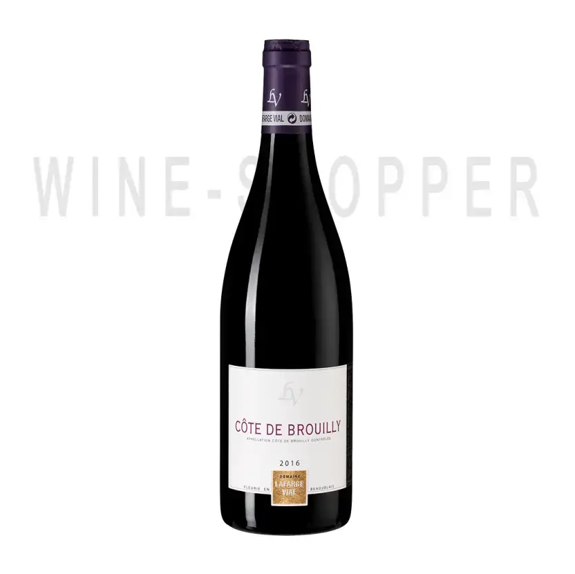 Вино Cote de Brouilly Domaine Michel Lafarge 2016 0.75 л