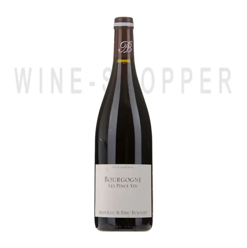 Вино Alain Burguet Bourgogne Les Pince Vin 2019 0.75 л