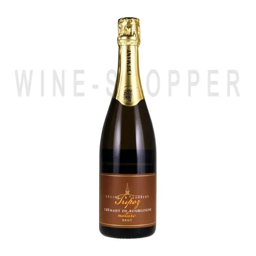 Игристое вино Celine & Laurent Tripoz Nature Brut Cremant de Bourgogne AOC 0.75 л