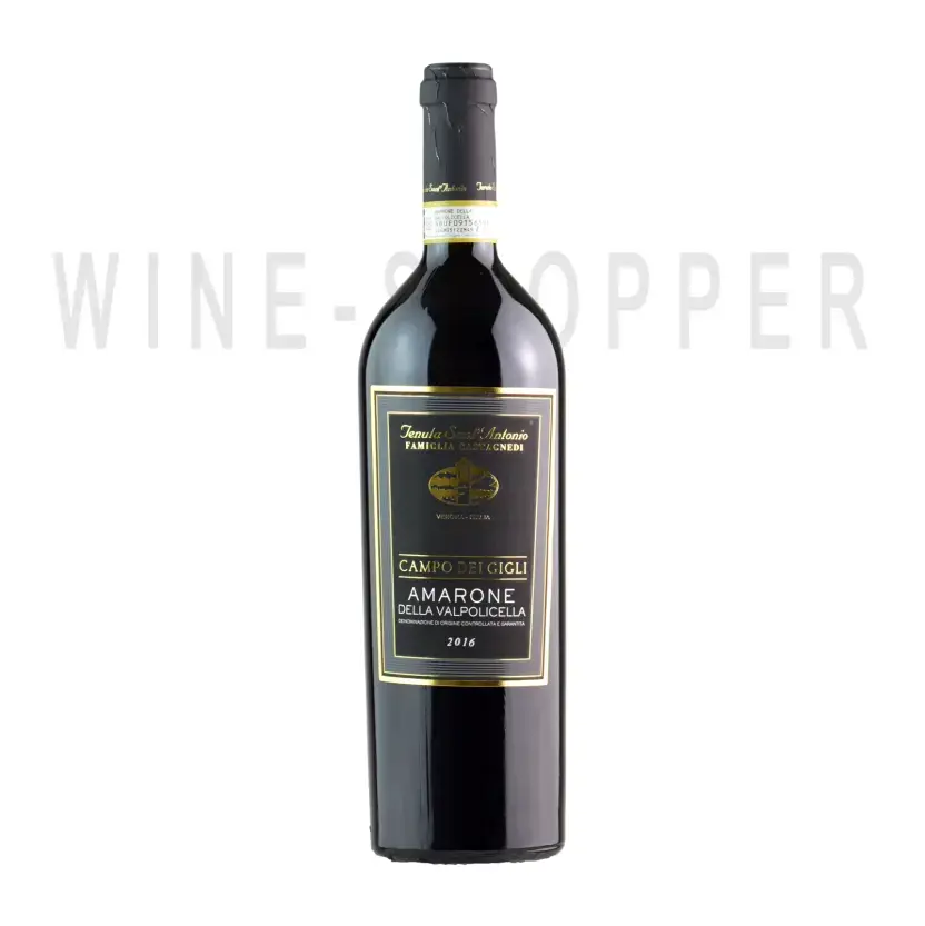 Вино Tenuta Sant'Antonio Campo dei Gigli Amarone della Valpolicella DOC 2016 0.75 л