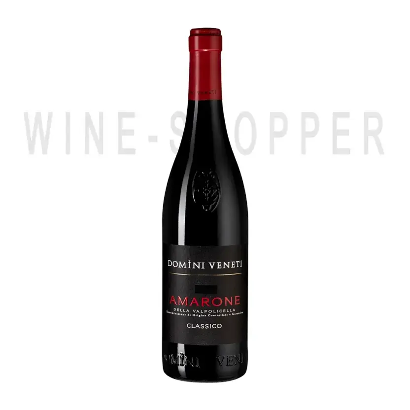 Вино Domini Veneti Amarone della Valpolicella Classico DOC 2019 0.75 л