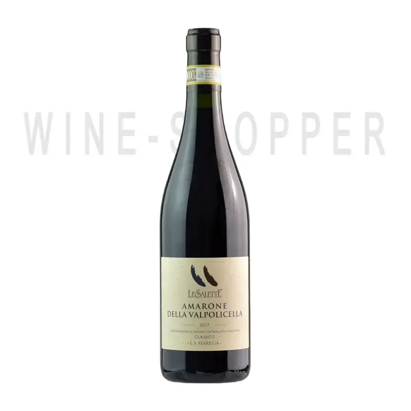 Вино Le Salette Amarone della Valpolicella DOCG Classico 2017 750 мл